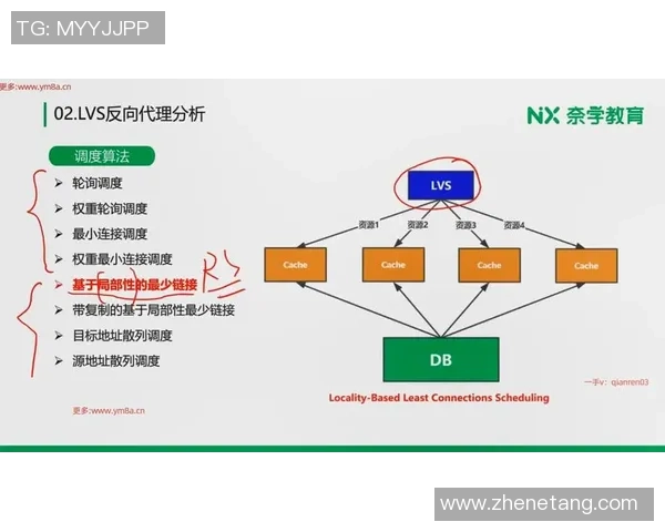 深入探讨上海篮球队在赛季中的数据分析与实力表现评估
