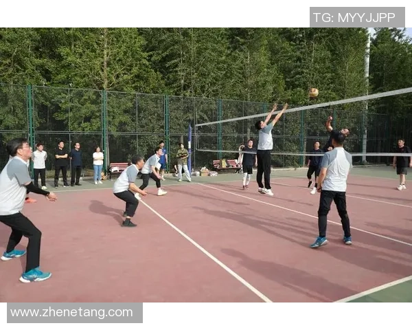 深圳排球队在排球比赛中创下新高经验排名引发热议