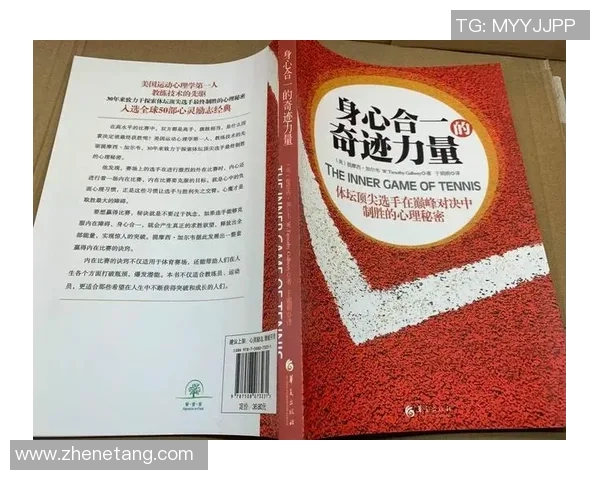 深圳网球队个人能力排名创新高引发关注助力网球发展新篇章