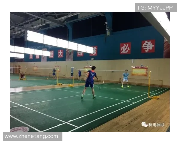 深圳羽毛球队区域防守策略解析与深度剖析