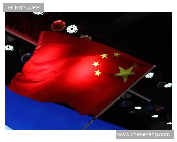 足球明星高举国旗的精彩瞬间展现激情与荣耀的照片集锦