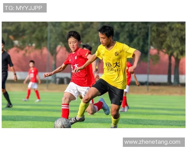 黄强专访揭秘足球成功背后的秘诀与奋斗故事