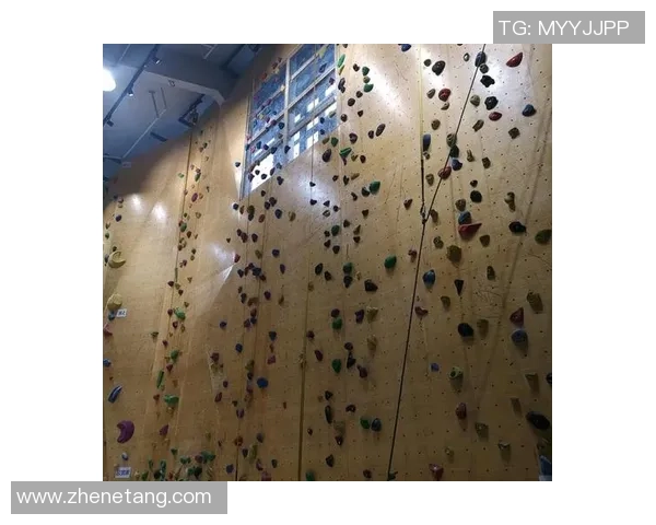 攀岩深度：解密南京攀岩队的区域防守