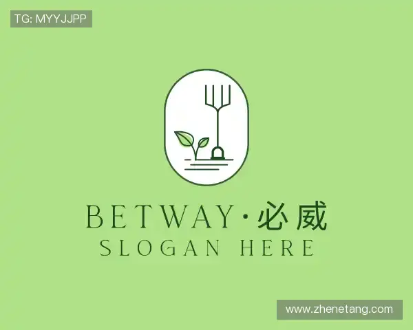 解读betway·必威